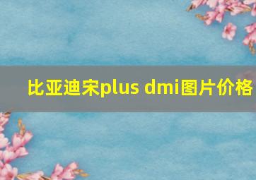 比亚迪宋plus dmi图片价格